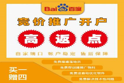 百度竞价广告在旅游行业的应用案例